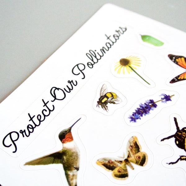 Pollinator Pride Patch & Sticker Kit - DIGS