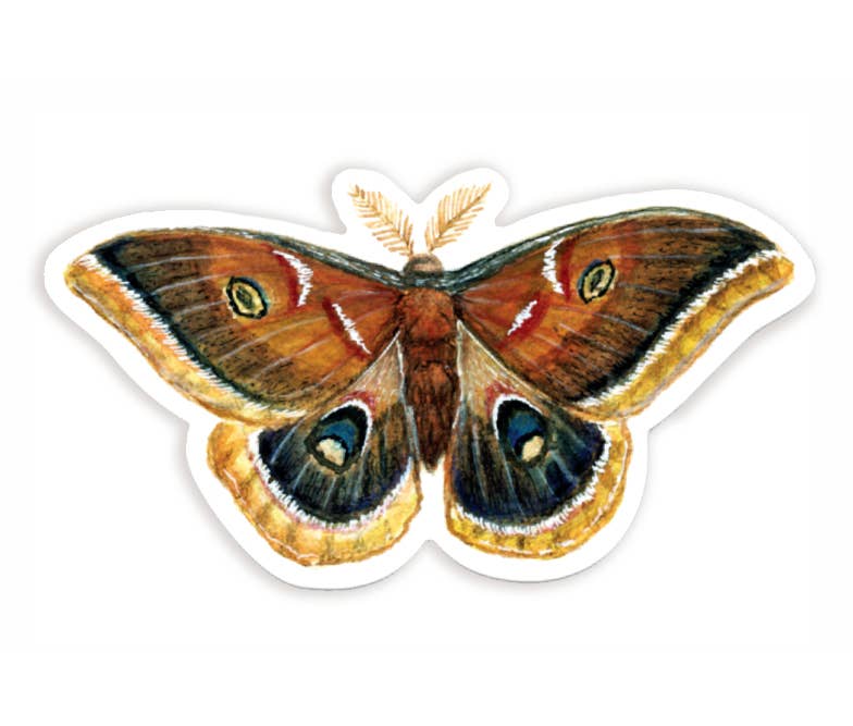 Polyphemus Moth Sticker - DIGS