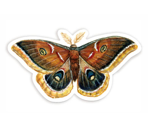 Polyphemus Moth Sticker - DIGS