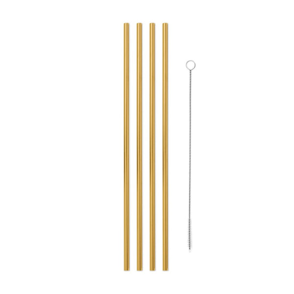 Porter 10" Metal Straws Set/4 - DIGS