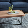 Porter Coffee Table, Rectangle - DIGS