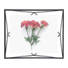 Prisma 8x10" Picture Frame - DIGS