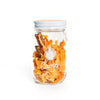Pumpkin Smash Infusion Kit - DIGS