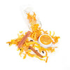 Pumpkin Smash Infusion Kit - DIGS