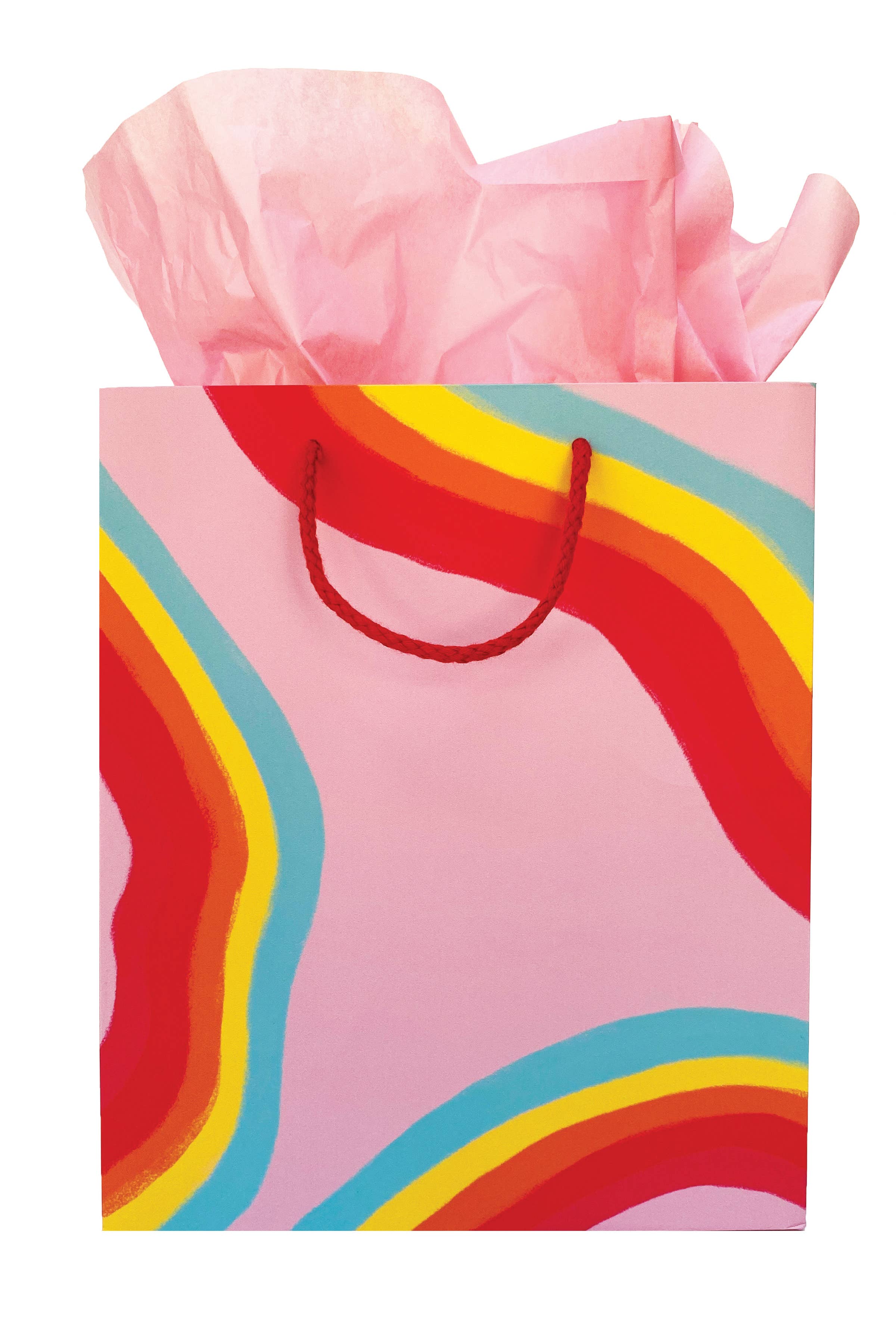Rainbow Ribbon Gift Bag - DIGS