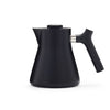 Raven Tea Kettle - DIGS