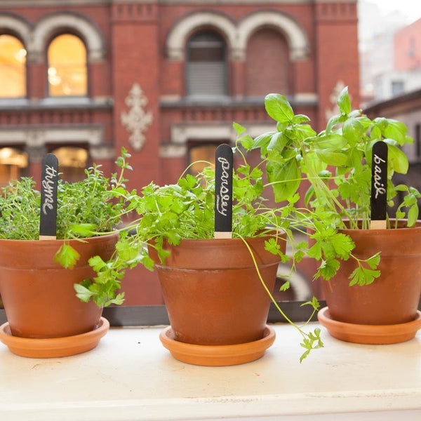 Reusable Garden Markers - DIGS