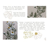 Roman Chamomile Embroidery Kit - DIGS