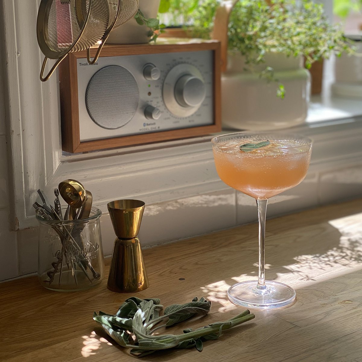 Rossa Mimosa Infusion Pack - DIGS