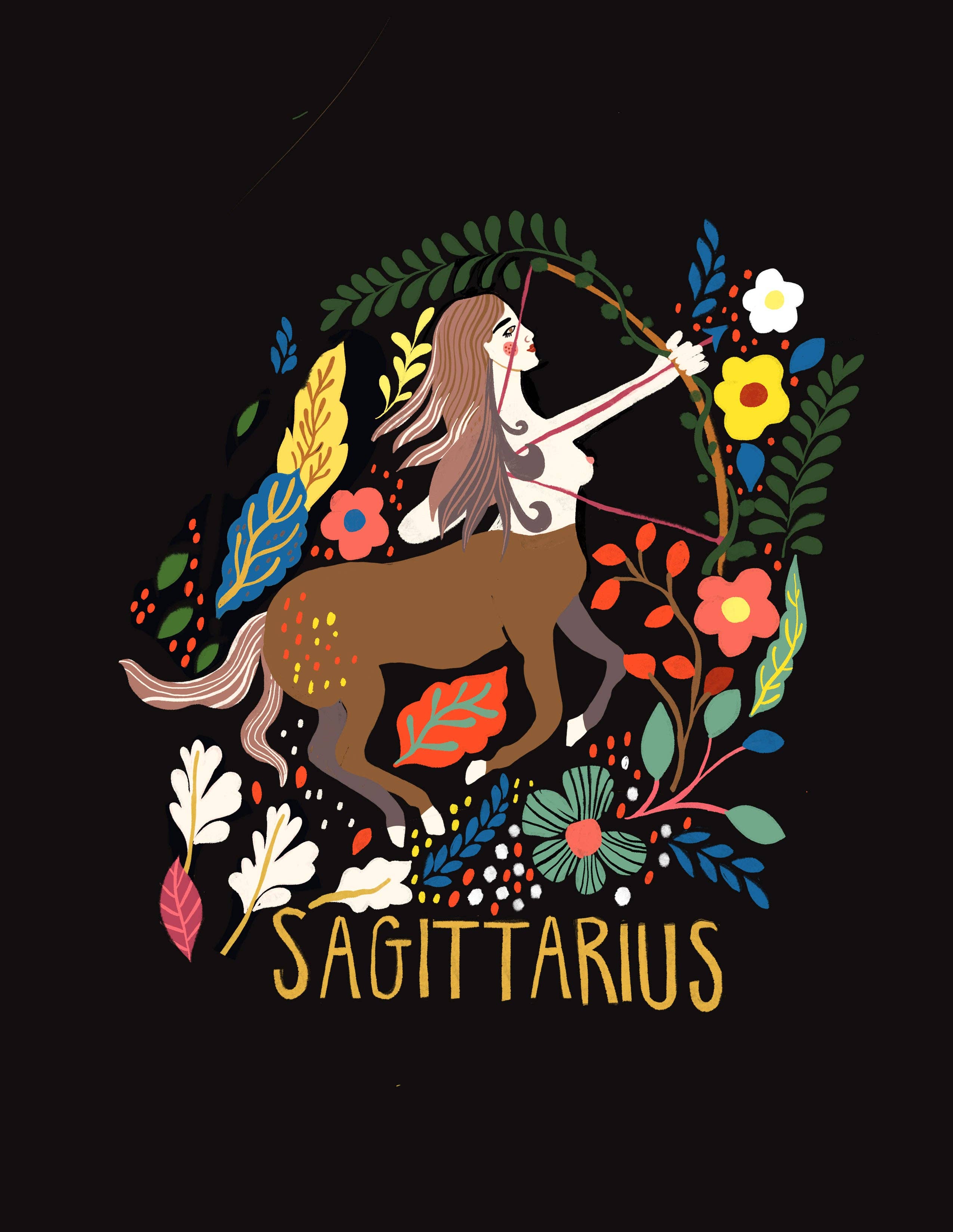 Sagittarius Zodiac Greeting Card - DIGS