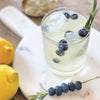 Seal Harbor Gin & Tonic Infusion Pack - DIGS