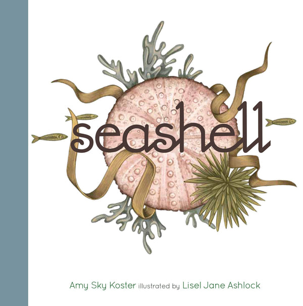 Seashell - DIGS