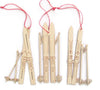 Ski Ornament Set - DIGS