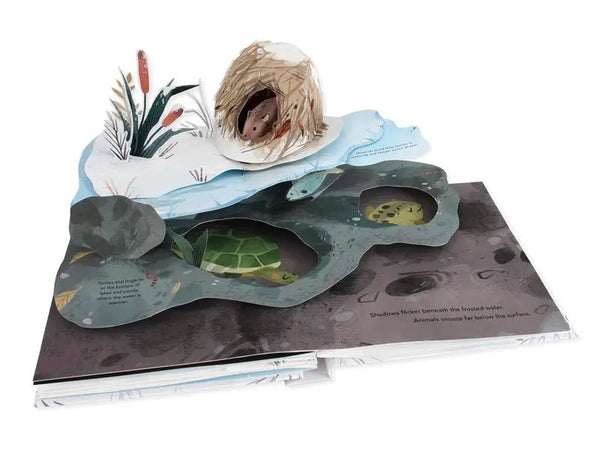 Snowscape: A Winter Pop - Up Book - DIGS