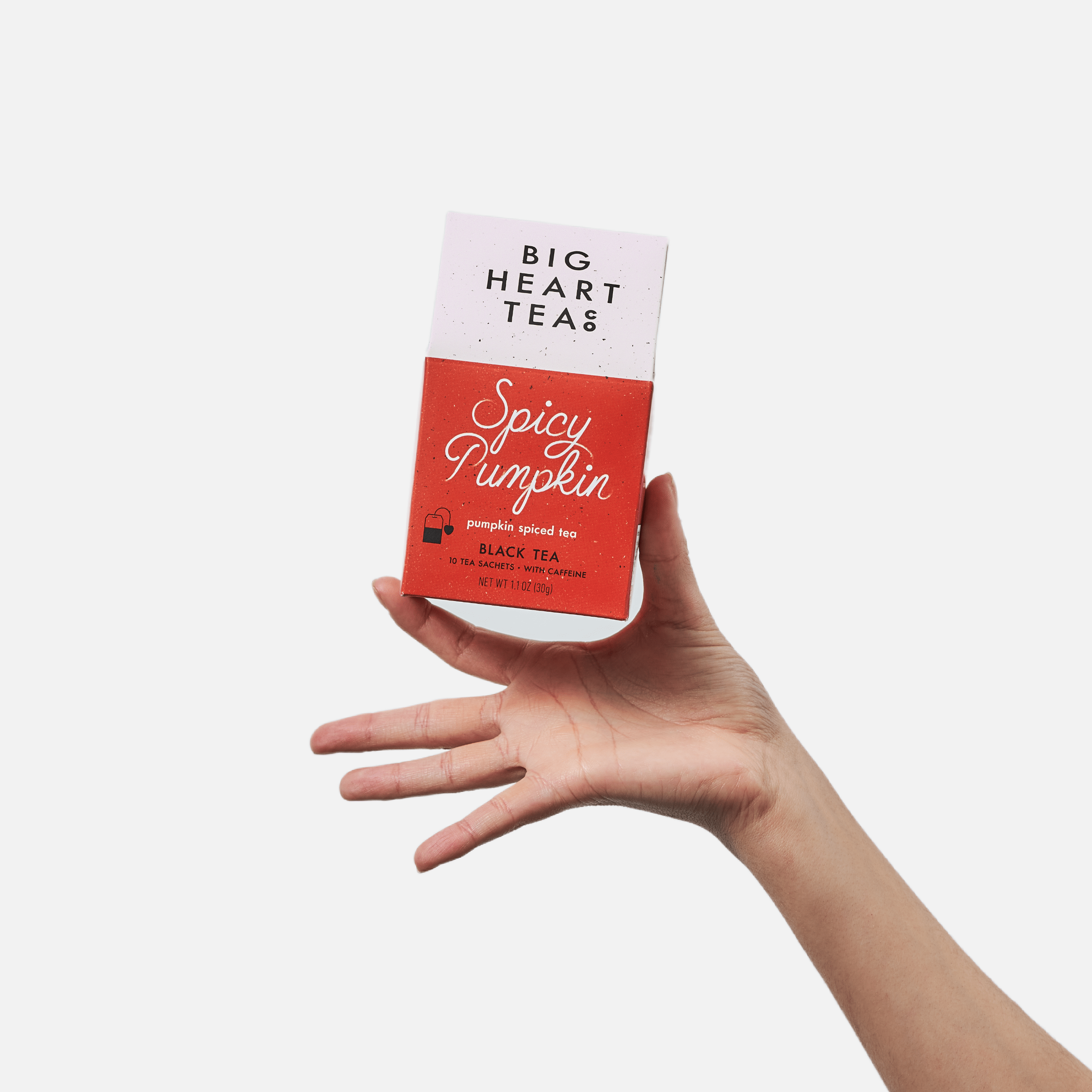 Spicy Pumpkin Black Tea - DIGS