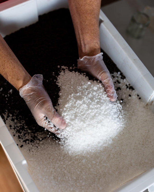 Spicy Thai Salt Blend - DIGS