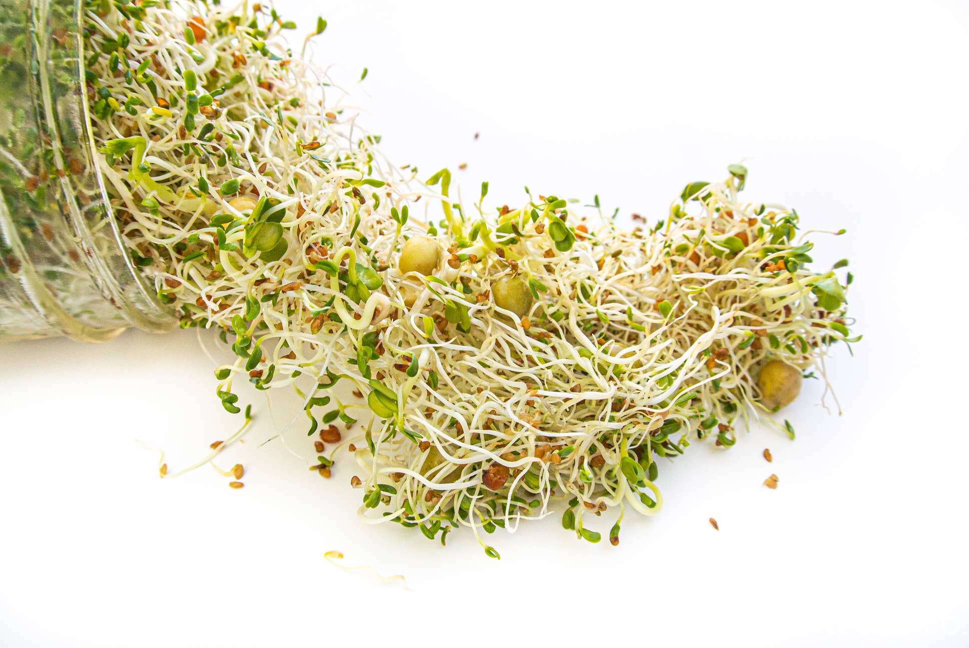 Sprouting Starter Kit - DIGS