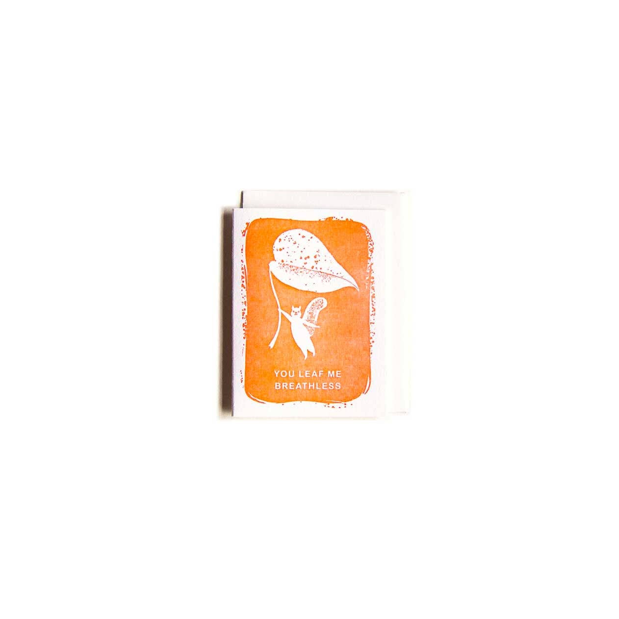 Squirrel Mini Card - DIGS