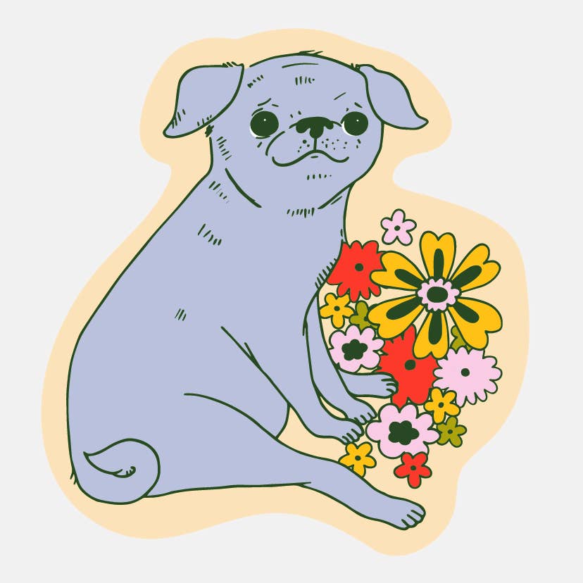 Stevie Sticker - DIGS