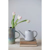 Stoneware Watering Can - DIGS