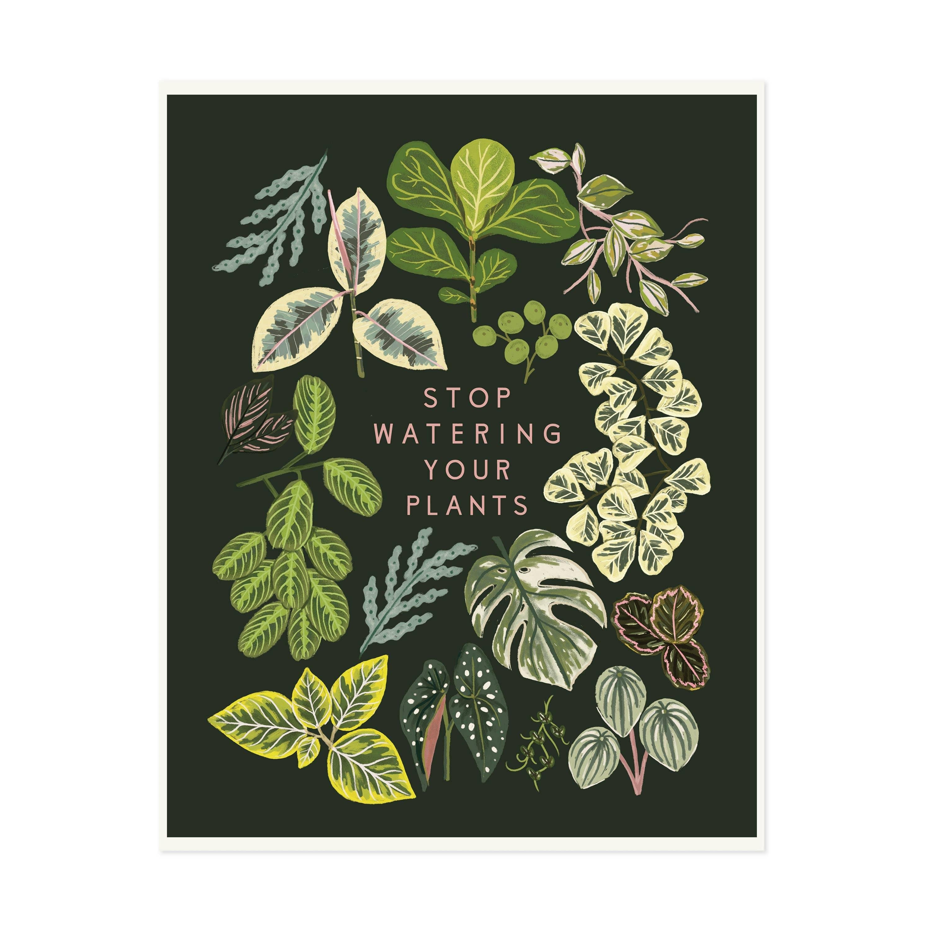 Stop Watering Your Plants Art Print - DIGS