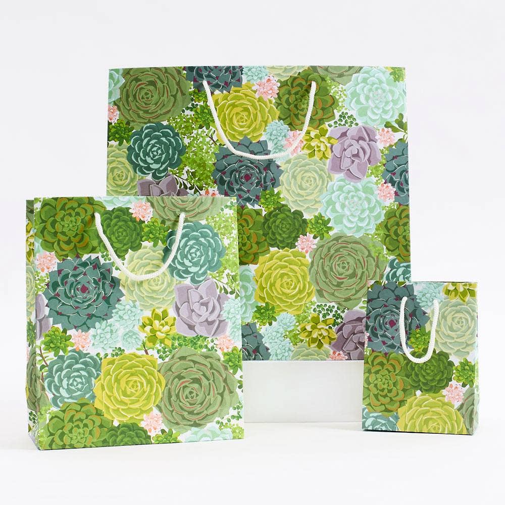 Succulent Gift Bag - DIGS