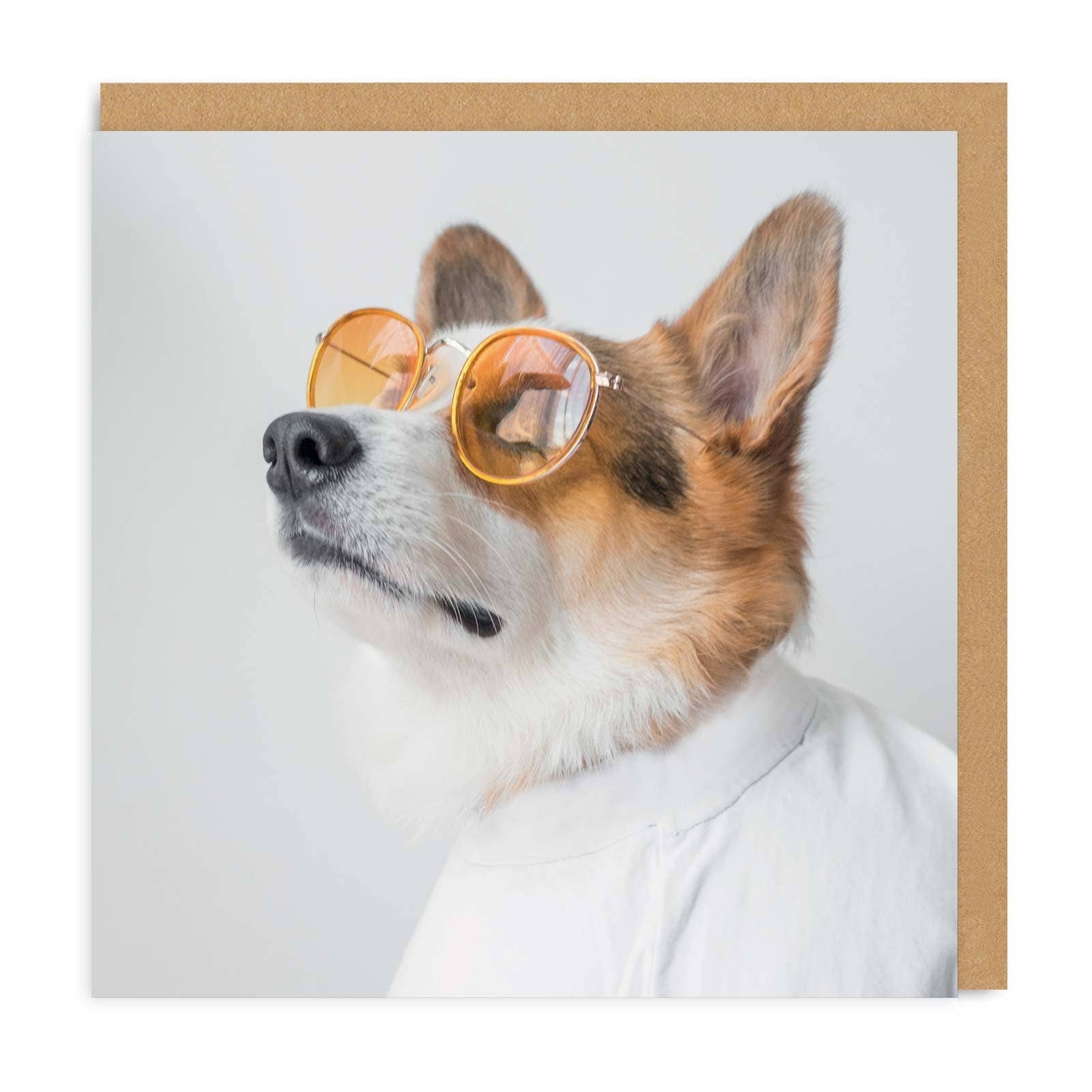 Sunglasses Corgi Card - DIGS