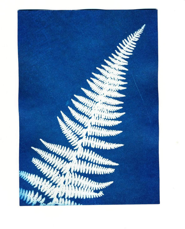 Sunography Paper - DIGS