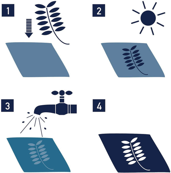 Sunography Paper - DIGS