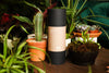 Sustainable Cactus Mix - DIGS