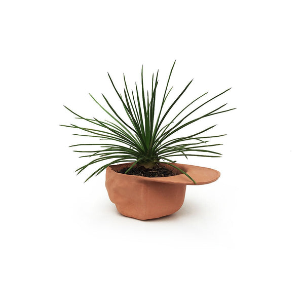 Terra Cotta Hat Planter Bowl - DIGS