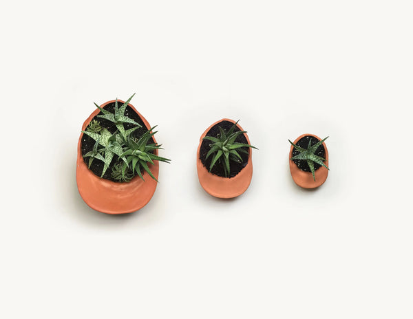Terra Cotta Hat Planter Bowl - DIGS