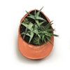 Terra Cotta Hat Planter Bowl - DIGS
