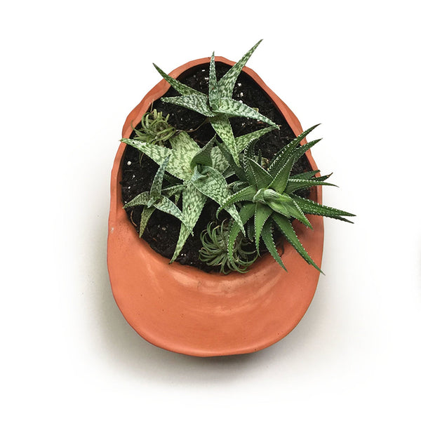 Terra Cotta Hat Planter Bowl - DIGS