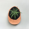 Terra Cotta Hat Planter Bowl - DIGS