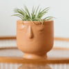 Teracotta mini face pot planter