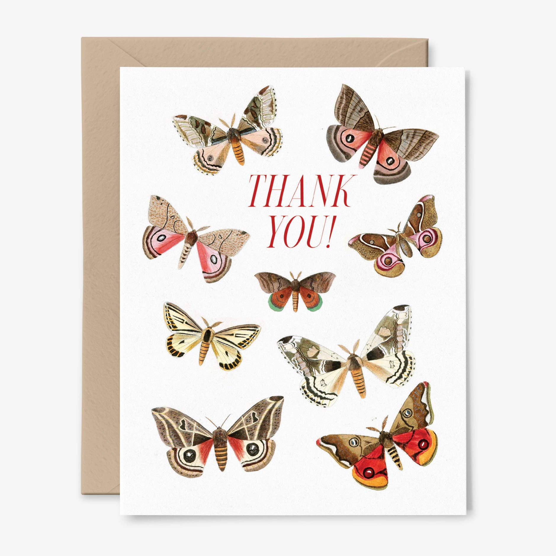 Thank You! Vintage Art Moth Card - DIGS