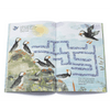 The Big Sticker Book of Birds - DIGS