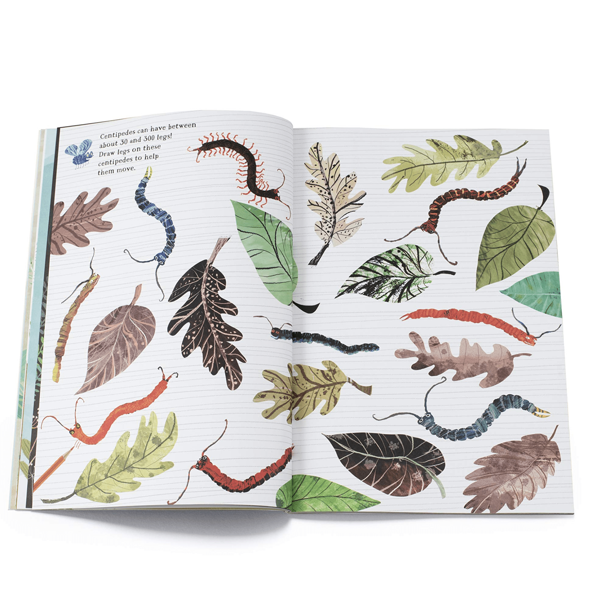The Big Sticker Book of Bugs - DIGS