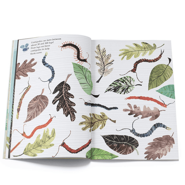 The Big Sticker Book of Bugs - DIGS