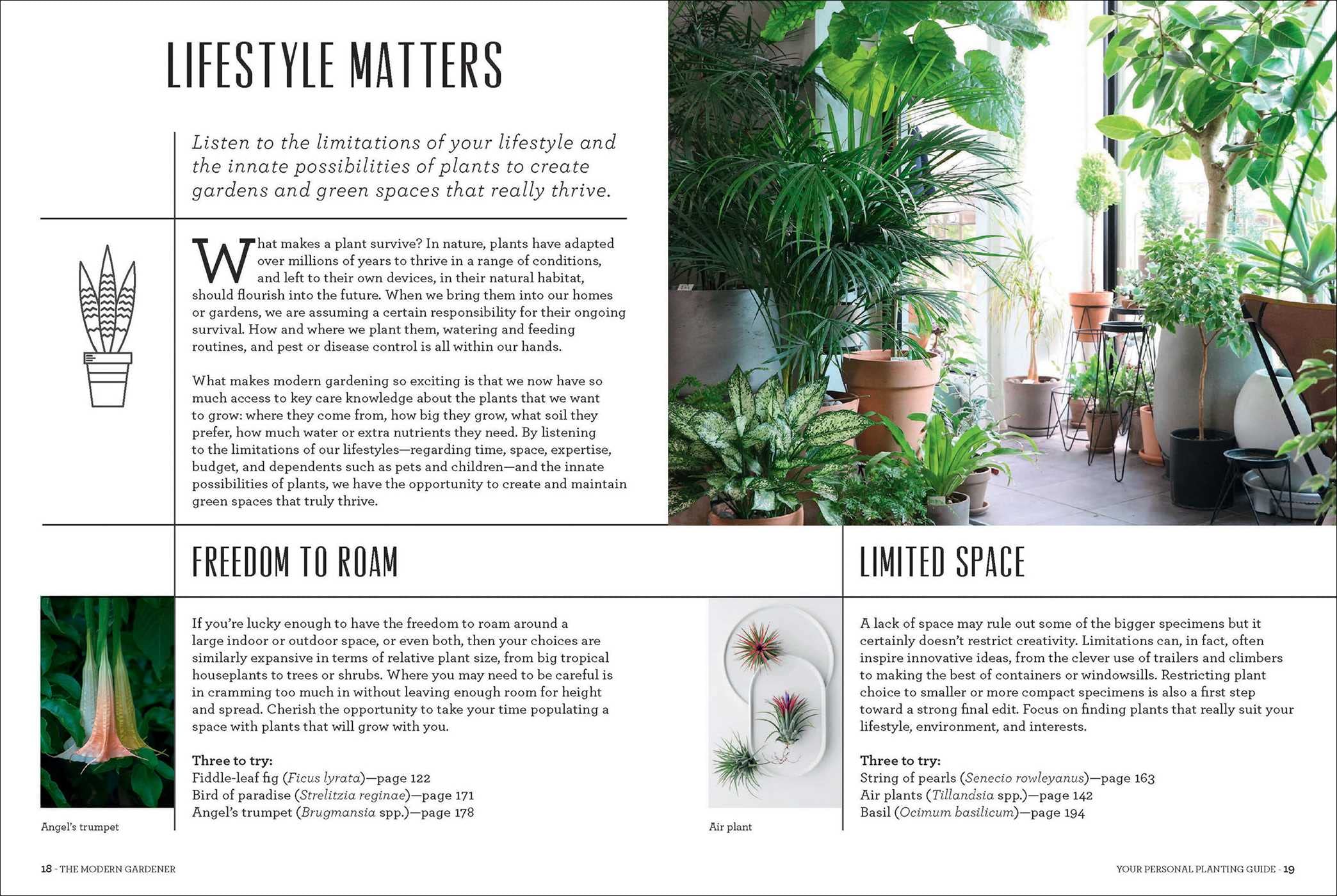 The Modern Gardener - DIGS
