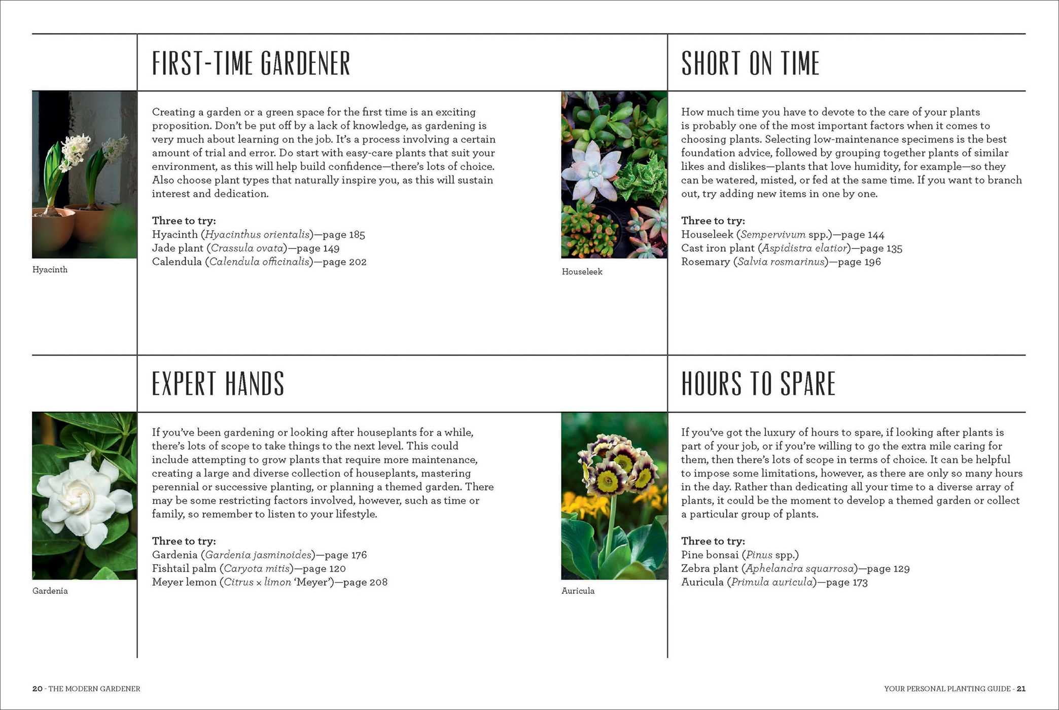 The Modern Gardener - DIGS