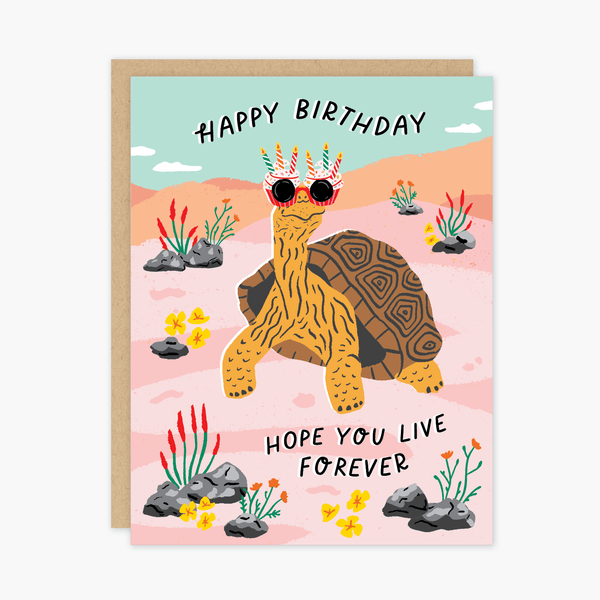 Tortoise Birthday Card - DIGS