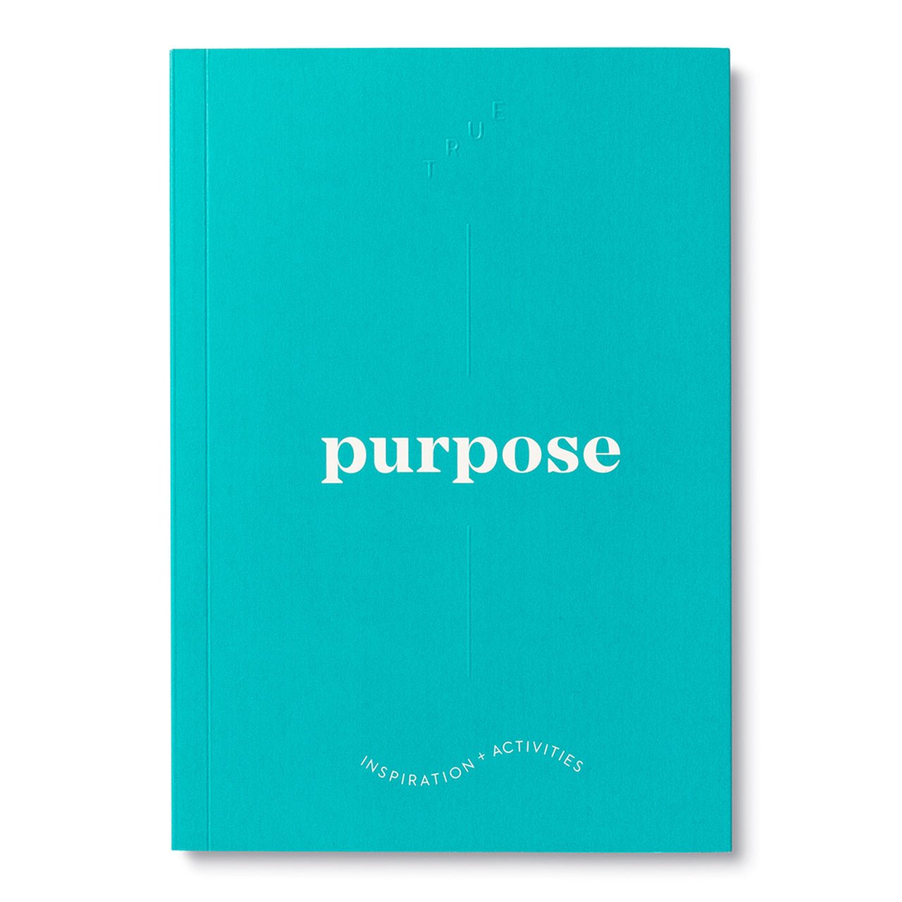 True Purpose Activity Book - DIGS