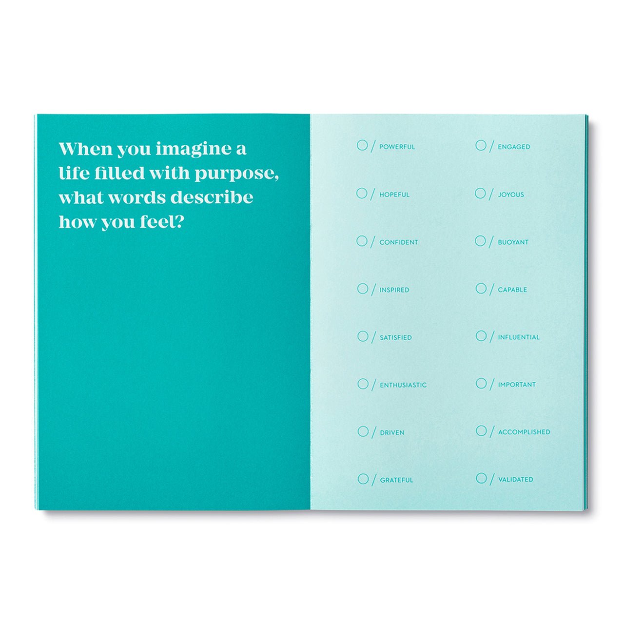True Purpose Activity Book - DIGS