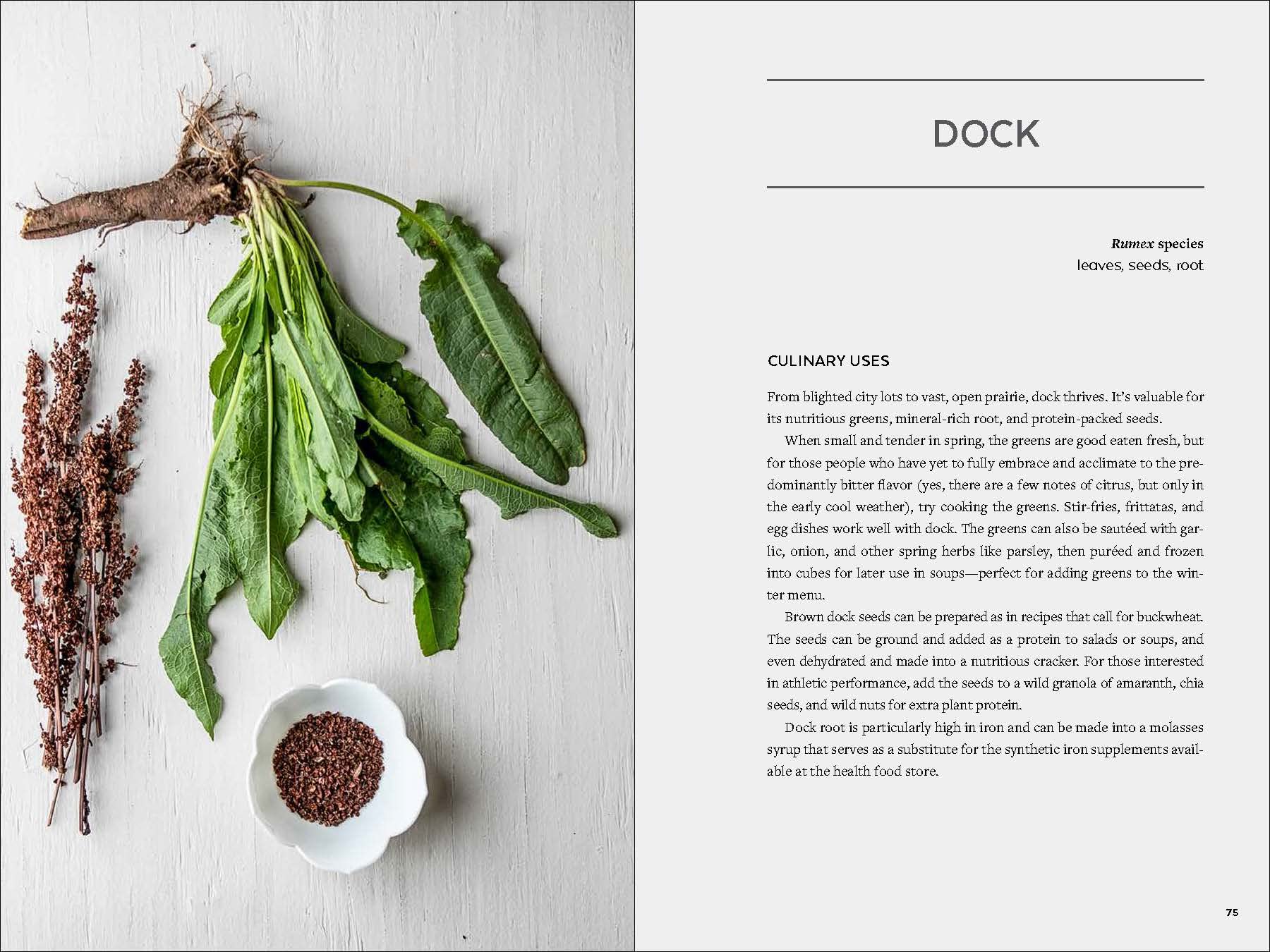 Urban Foraging: Find, Gather, and Cook 50 Wild Plants - DIGS