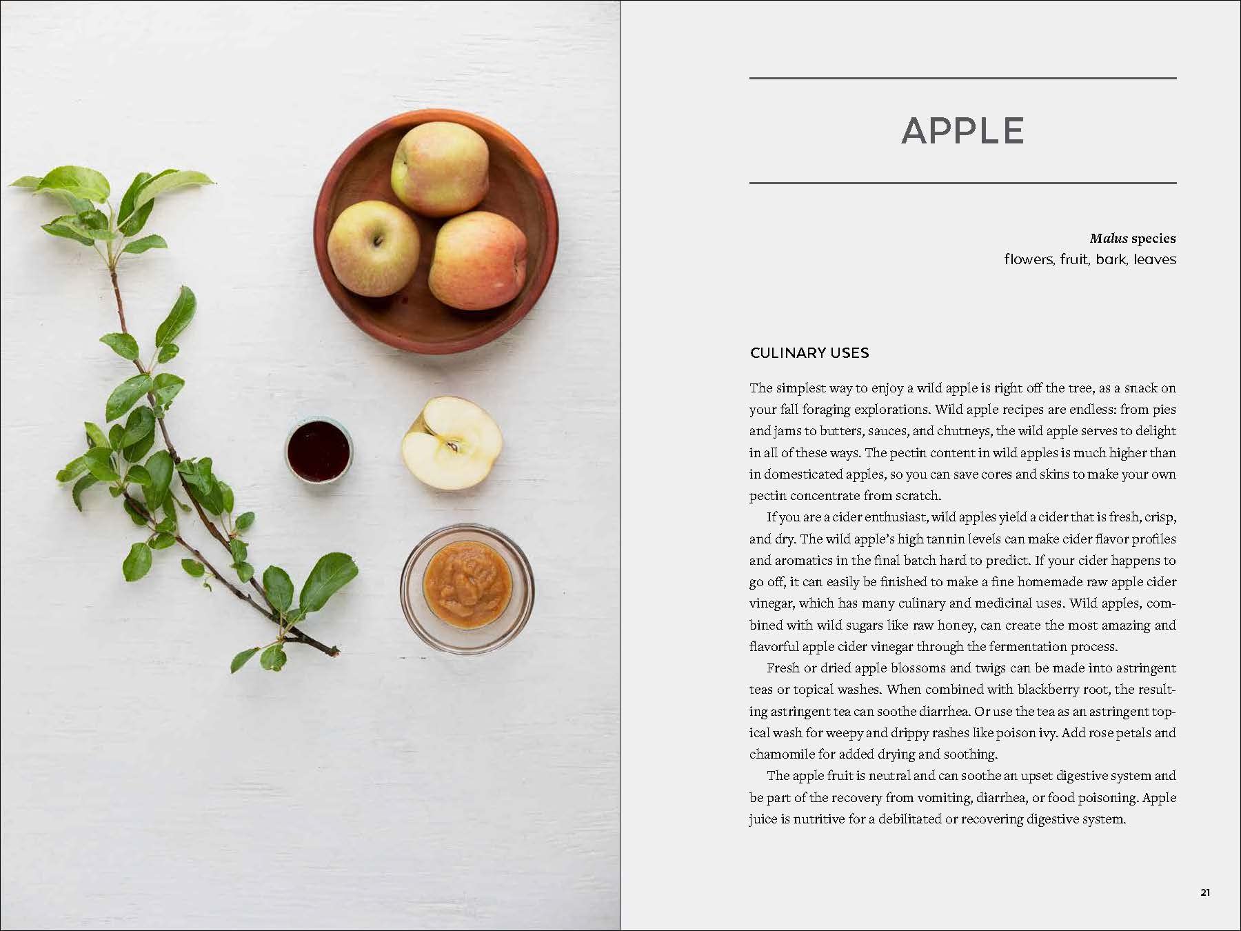 Urban Foraging: Find, Gather, and Cook 50 Wild Plants - DIGS