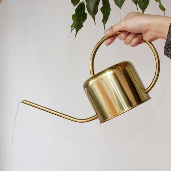 Vintage Watering Can - DIGS