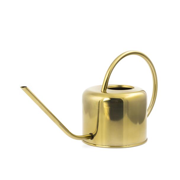 Vintage Watering Can - DIGS