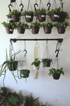 Wall Plant Hanger - DIGS